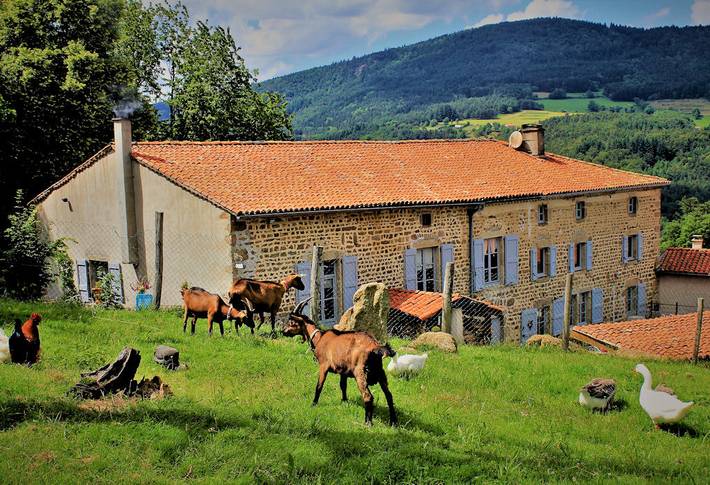 Gîte pour 12 personnes, avec terrasse et jardin à Sauvain