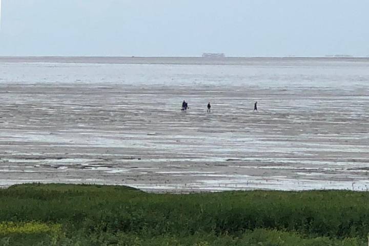 Chambre d’hôte pour 4 personnes, avec terrasse aux Pays-Bas - 3