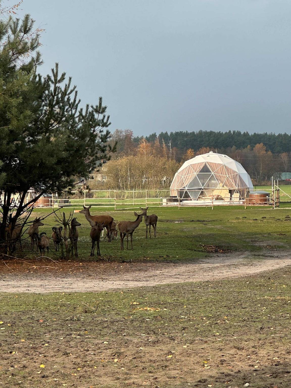 Glamp Boho - Ranczo Targówka in Großpolen