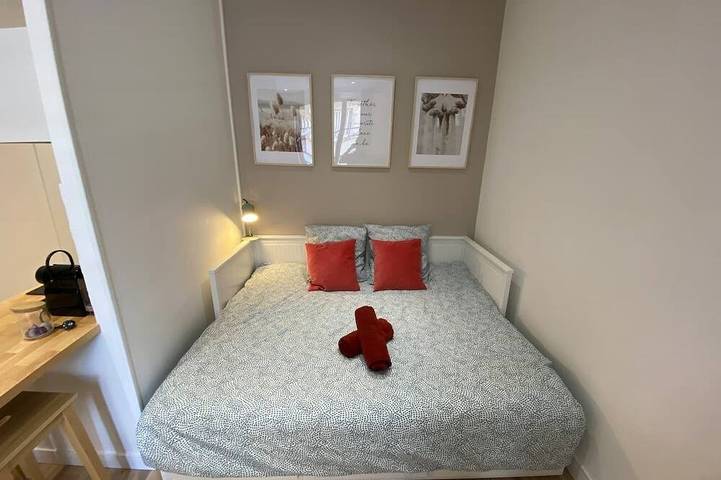 Appartement entier, Le Cocon / Hyper-Centre / Climatisation / Trams in Grenoble, Isère