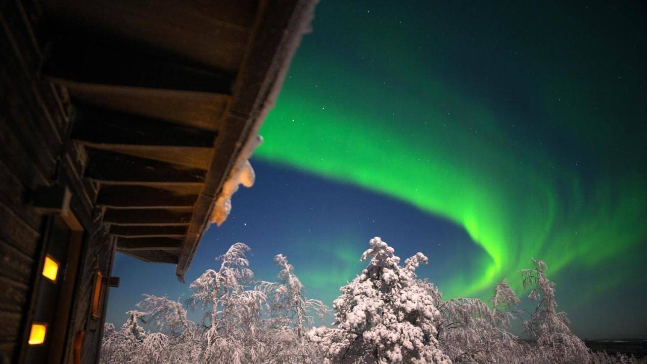 Arctic Giant in Paltamo, Kainuu