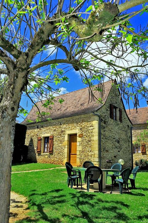 Gîte pour 7 personnes, avec piscine et terrasse ainsi que jardin et jacuzzi, animaux acceptés à Saint-Crépin-et-Carlucet - 2