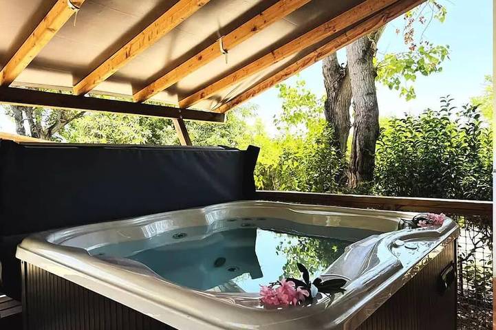 Mobil home pour 4 personnes à Cabrières-d'Aigues - 3