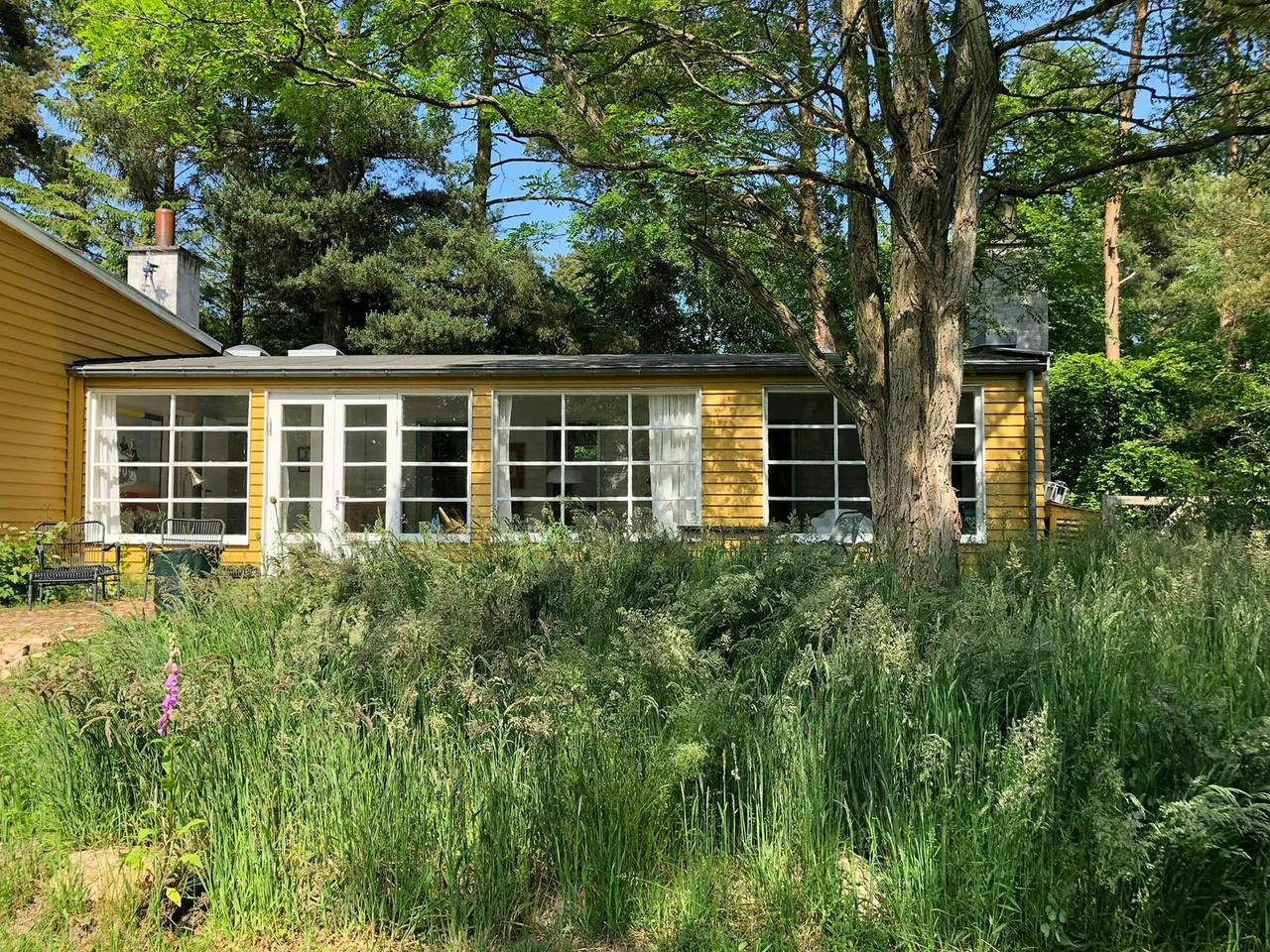 Gelbes Landhaus mit Charakter und Ruhe in Hornbæk, Kattegat Küste