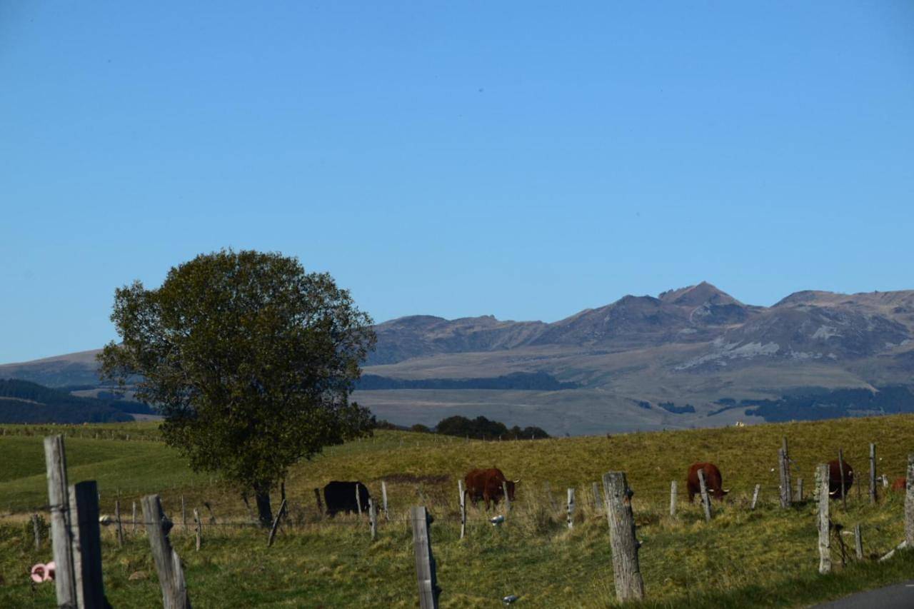 Appartement entier, Three-Bedroom Apartment in Murol, Parc naturel régional des Volcans d'Auvergne