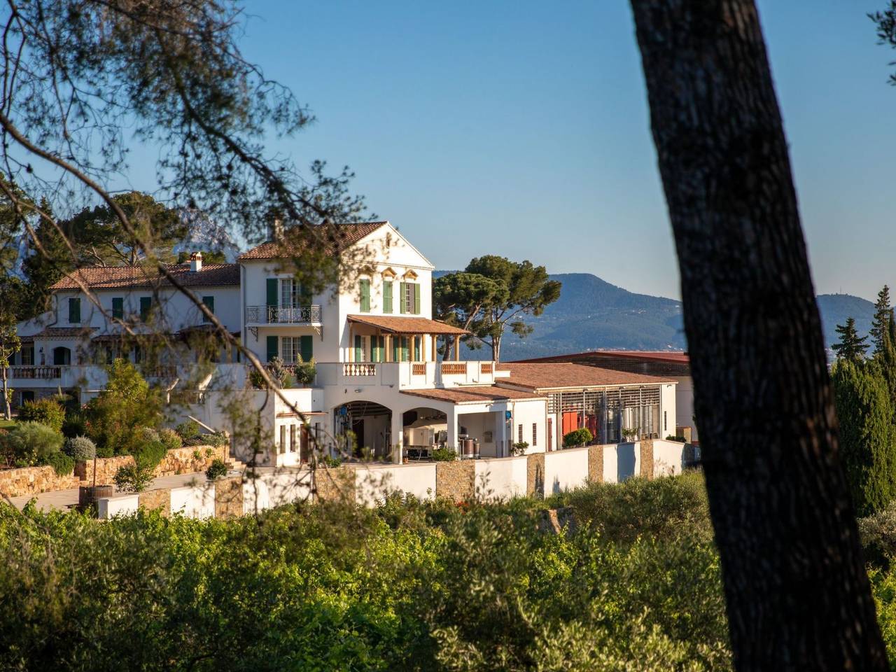 Im Herzen eines Weinguts, schattige Terrasse mit Meerblick, Pool in Le Pradet, Region de Toulon