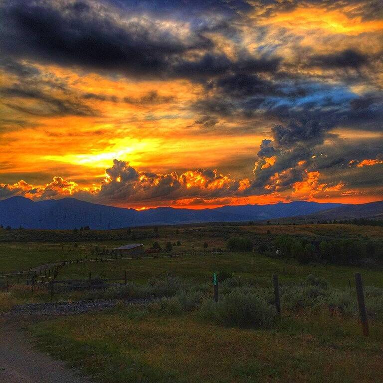 The Birdhouse,... Quiet Country Home in the Bitterroot Valley. in Lolo Nationalwald