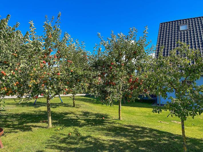 Ferienwohnung für 3 Personen, mit Sauna und Garten sowie Seeblick in Kröslin - 3