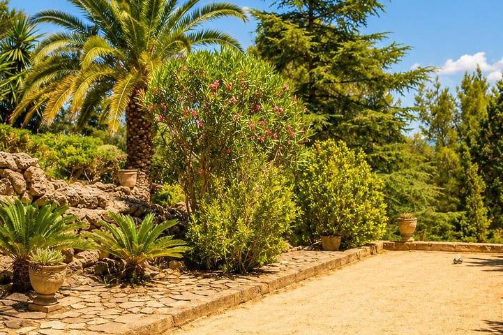 Villacolina – Pool, Tennis & Breathtaking Views in Ses Rotgetes de Canet, Esporles