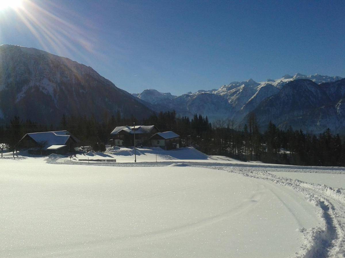 Ganze Wohnung, Ferienwohnung am Bauernhof Koa in Bad Goisern, Dachstein Salzkammergut