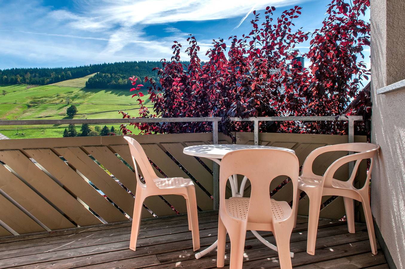 Entire holiday apartment, Holiday apartment for 4 people with balcony in Suedlicher Schwarzwald, Todtnau