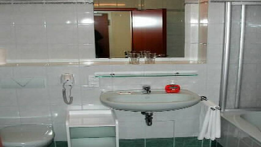 Vacation rental for 4 people, with sauna, with pets in Dresden