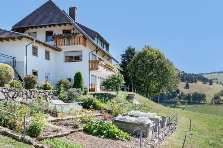 Ferienwohnung für 4 Personen, mit Balkon und Garten in Münstertal - 2