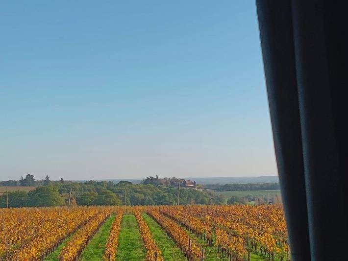 Location de vacances pour 2 personnes, avec sauna et vue ainsi que jardin et piscine, animaux acceptés à Belvès-de-Castillon - 3