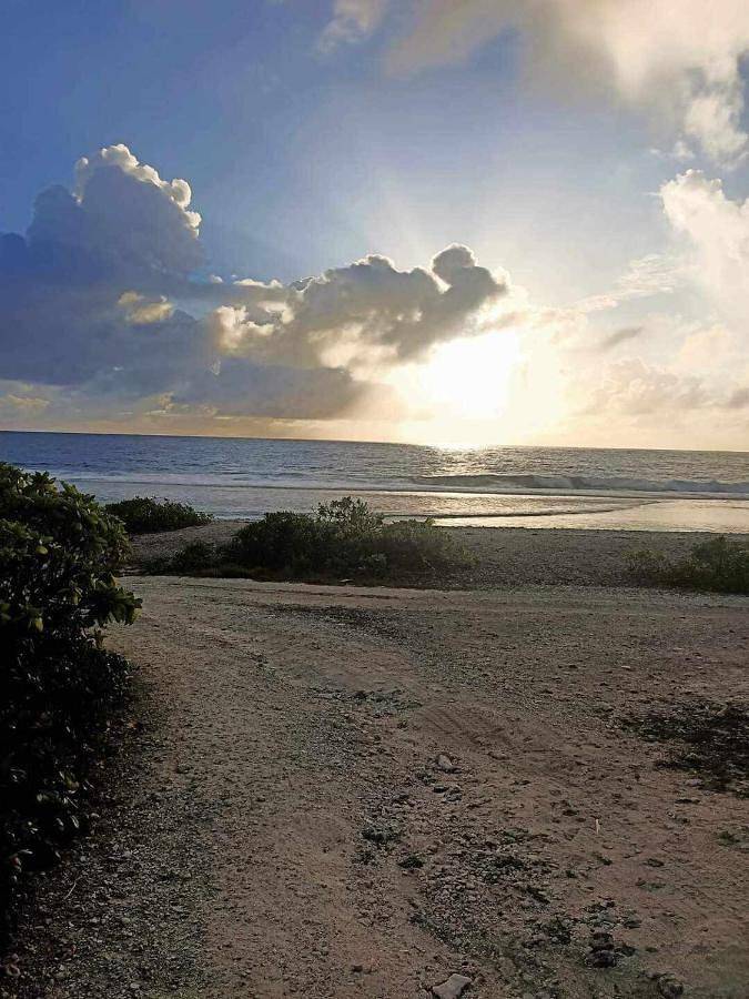 Location de vacances pour 6 personnes, avec terrasse dans Maupiti - 3