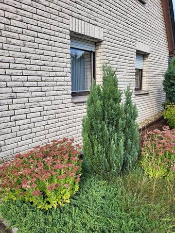 Gîte pour 6 personnes, avec vue et jardin à Melle