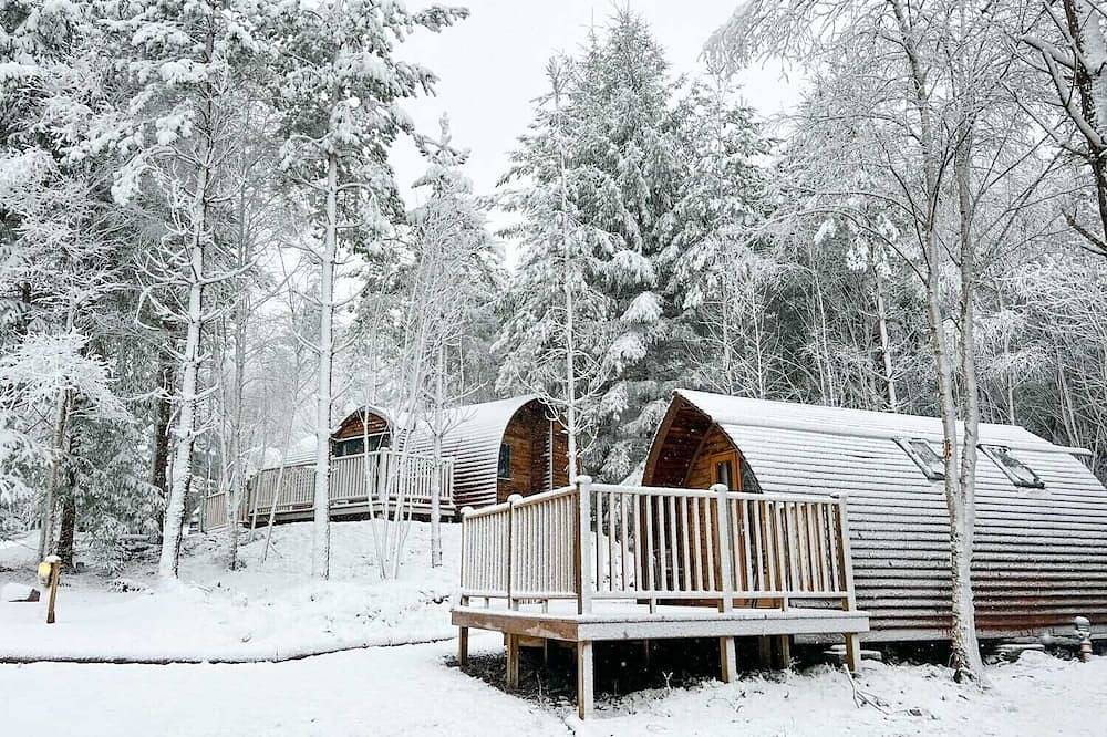 Woodland Lodge in the heart of Scotland in Lecht, Moray