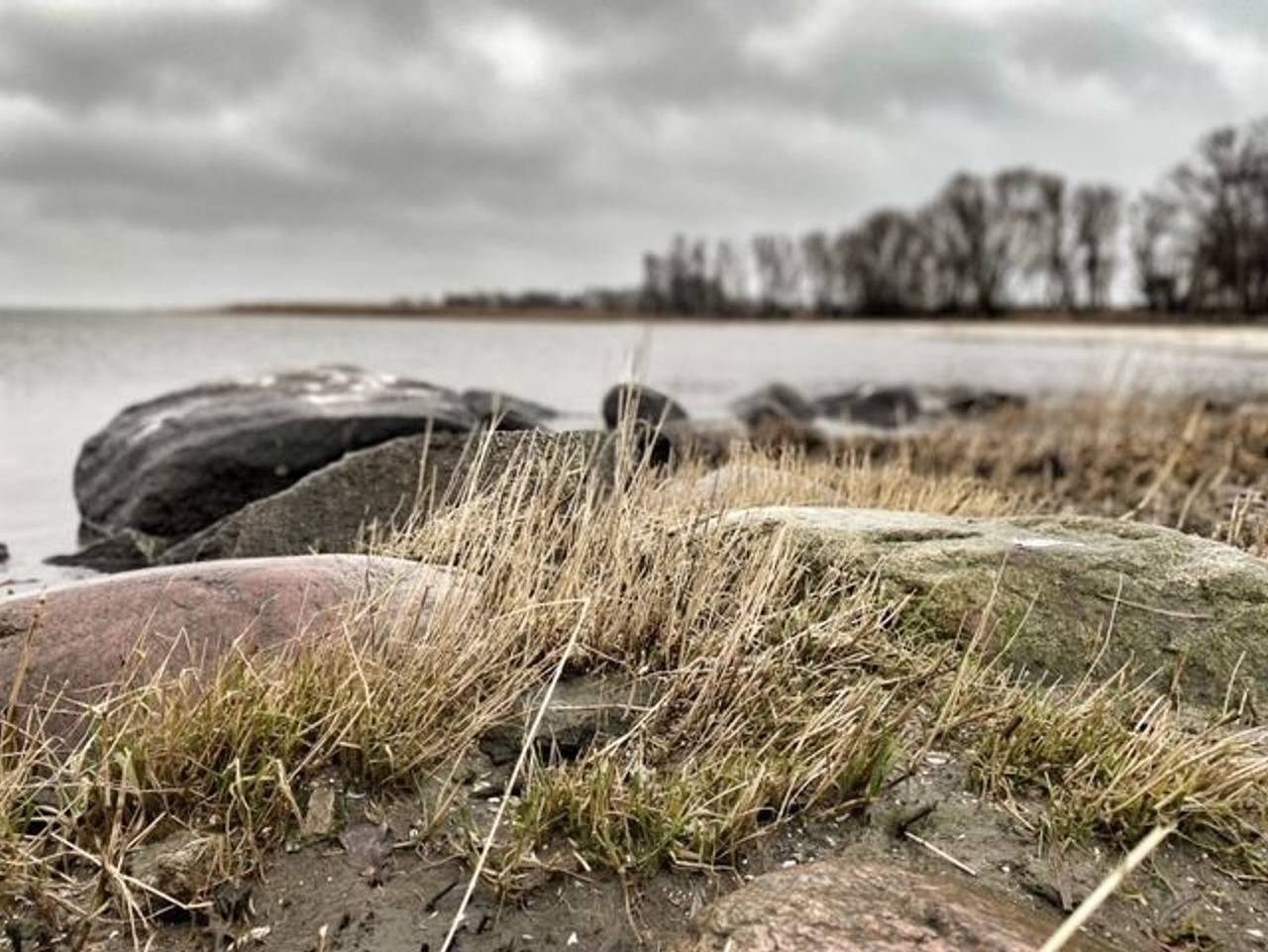Ferienhaus Hafftraum - Ferienhaus Hafftraum Strand in Mönkebude, Stettiner Haff