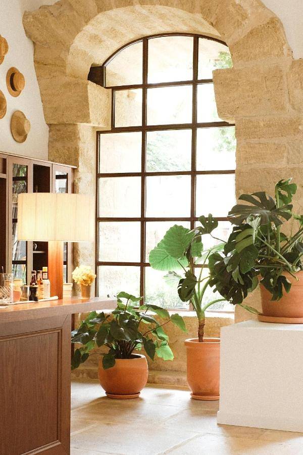 Hôtel pour 2 personnes, avec jardin ainsi que terrasse et piscine, animaux acceptés à Lourmarin - 3