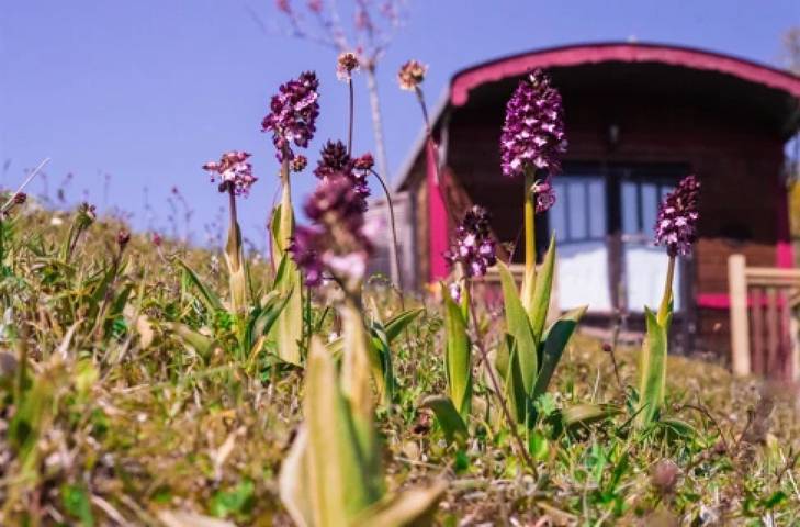 Camping pour 5 personnes dans le Gers
