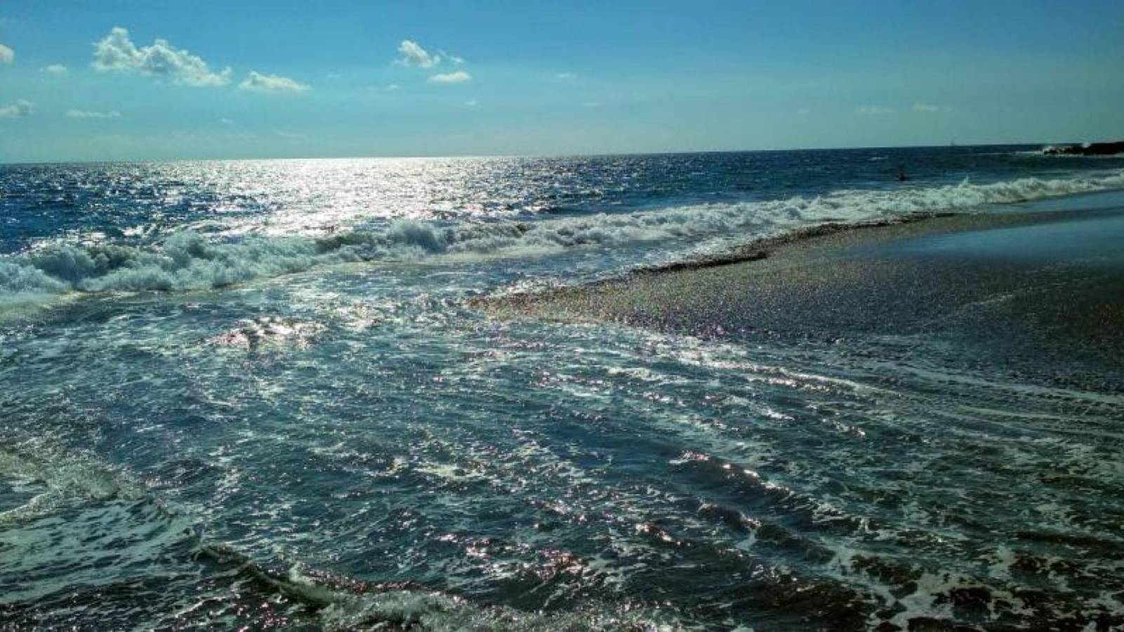 Wooden bungalow with veranda and close to the beach. in Viareggio, Costa de la Maremma