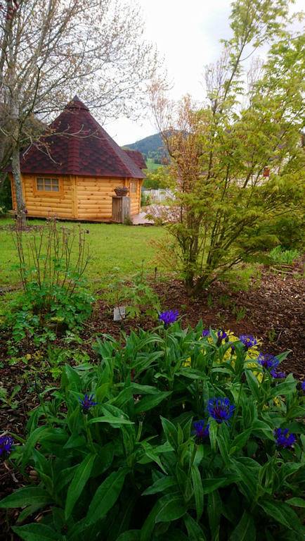 Chambre d’hôte pour 2 personnes, avec jardin dans les Vosges - 3