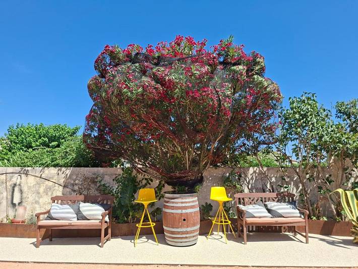 Location de vacances pour 6 personnes, avec piscine ainsi que vue et jardin, animaux acceptés à Milhaud - 4
