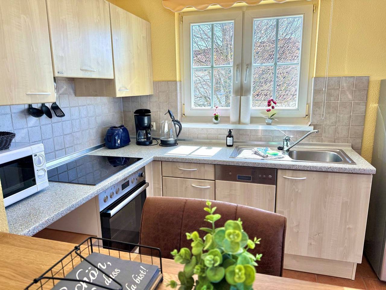 Ganze Wohnung, Ferienwohnung Sammy - Urlaub in ruhiger Lage mit Hund in Neddesitz, Sagard