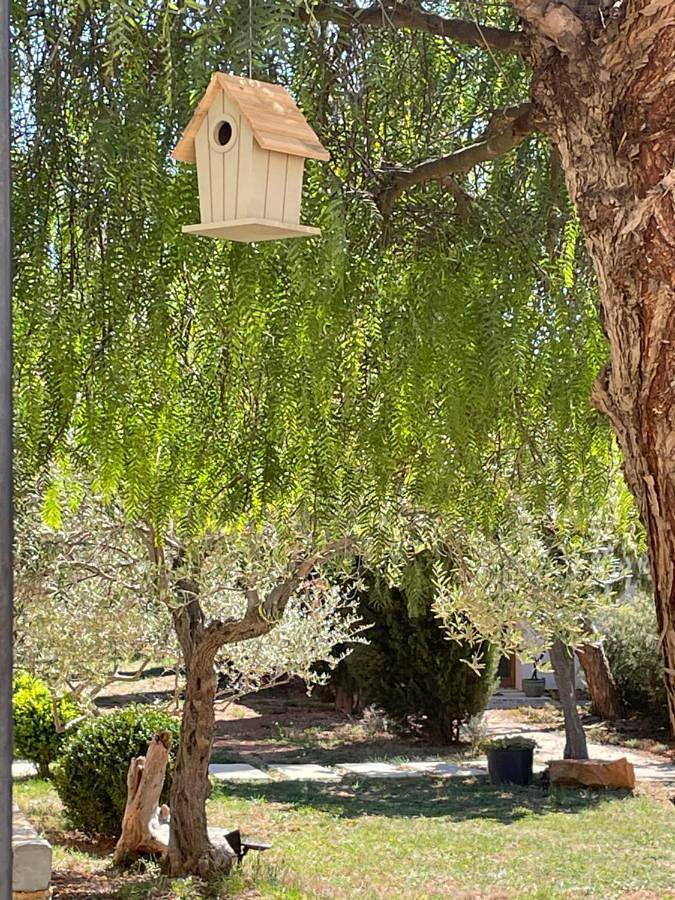Location de vacances pour 2 personnes, avec piscine ainsi que vue et jardin à Opoul-Périllos - 3