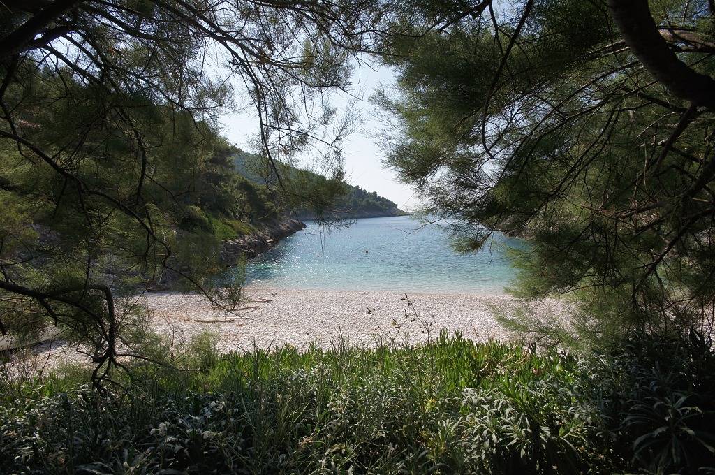 Robinsonhaus in Žrnovo mit Meerblick, Terrasse (3638-3) in Žrnovo, Korcula