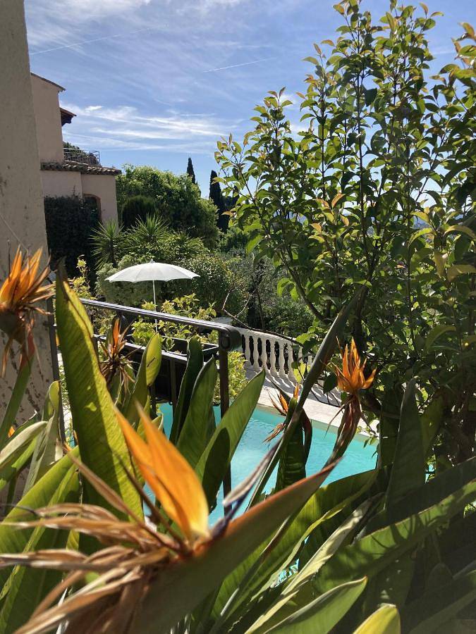 Maison d’hôte pour 2 personnes, avec piscine ainsi que vue et jardin, animaux acceptés à Grasse - 3