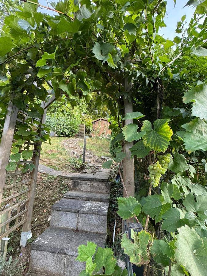 Ferienwohnung für 5 Personen, mit Ausblick und Garten in Remagen - 4