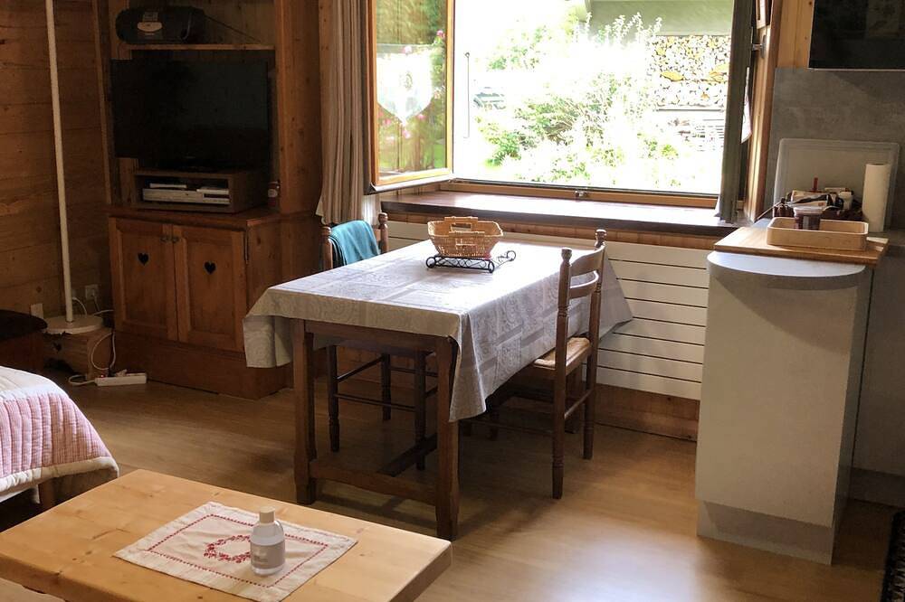 Entire apartment, Studio 23m2 Garden level 2 km from downtown in Chamonix-Mont-Blanc, Bonneville region