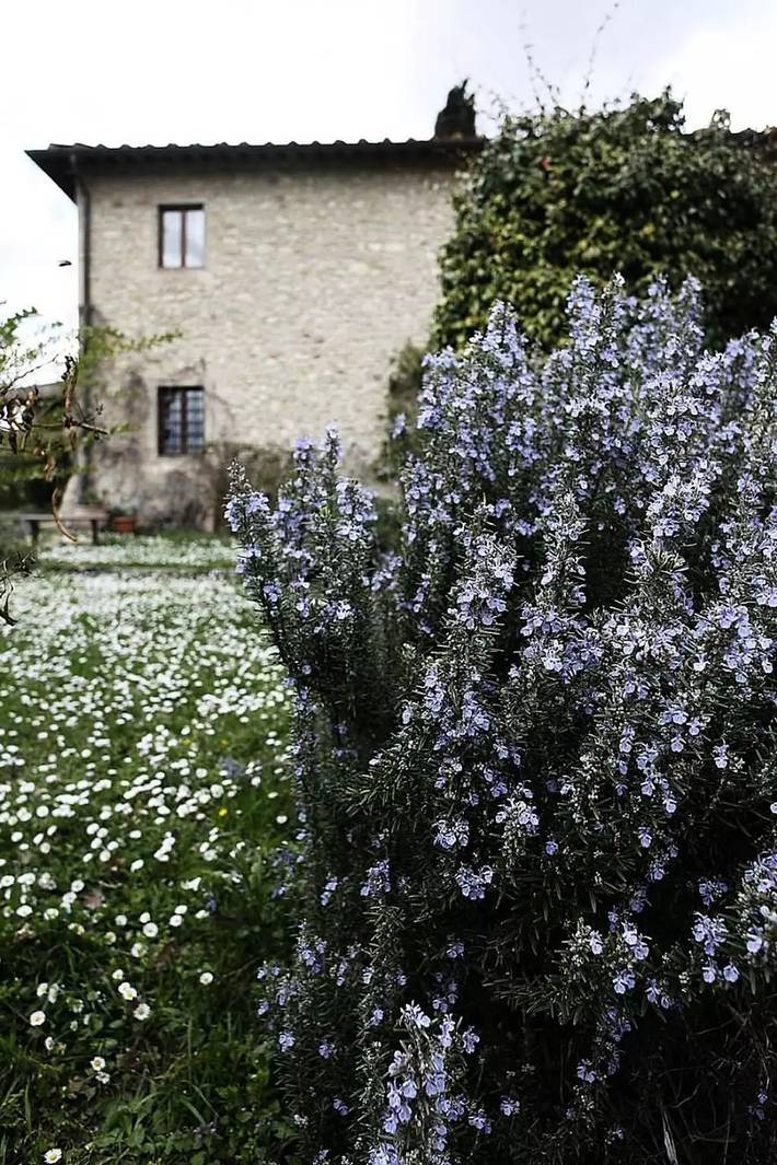Villa voor 12 personen, met tuin en zwembad in San Casciano in Val di Pesa
