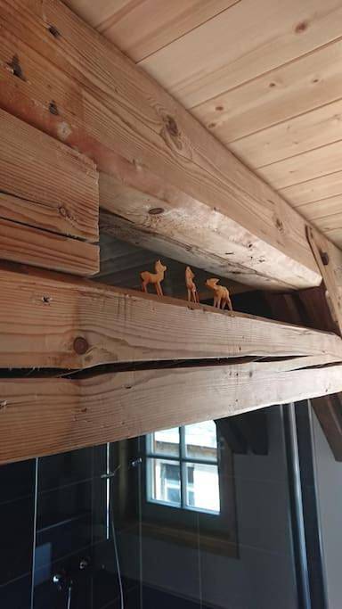 Ferienwohnung für 5 Personen, mit Balkon und Terrasse sowie Garten in Oelsnitz/Erzgebirge - 4