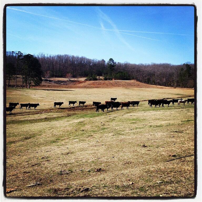 Agriturismo für 8 Personen in Ozark Mountains, Arkansas