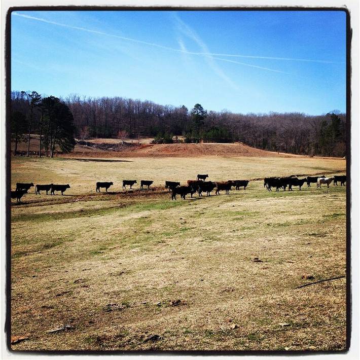 Barn for 8 people, with yard in Arkansas
