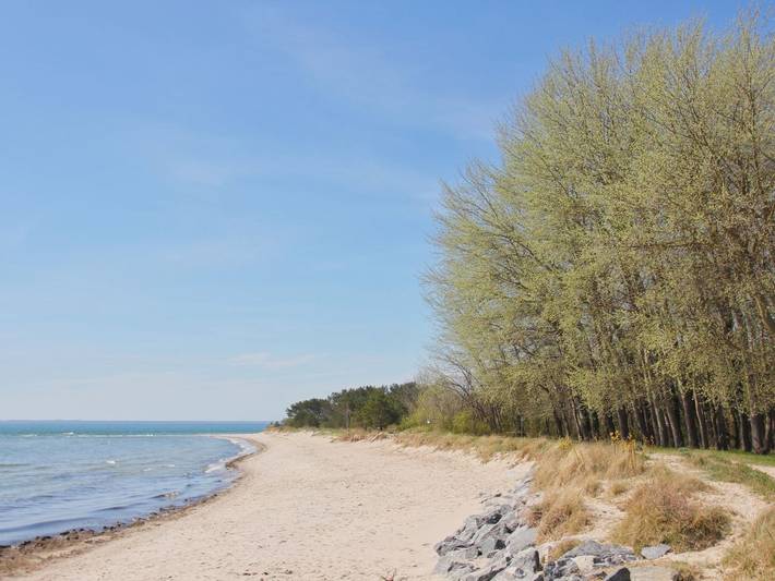 Ferienhaus für 10 Personen, mit Sauna und Garten, kinderfreundlich in Thiessow - 2