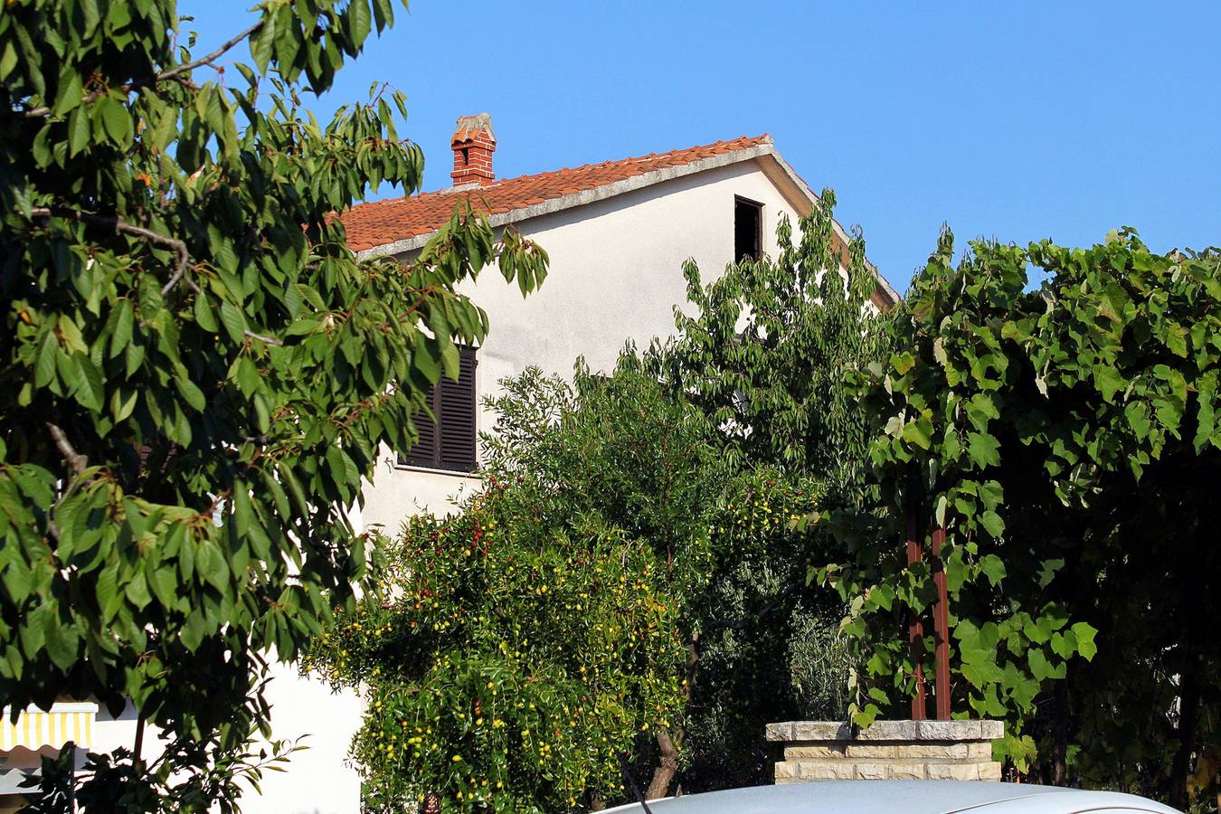 Entire apartment, Studio flat with terrace Novigrad As-2536-a in Novigrad, Umag Region