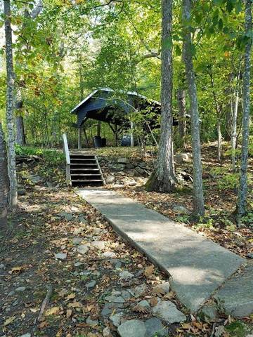 Cabin for 4 Guests in Seneca Lake, Schuyler County, Picture 1