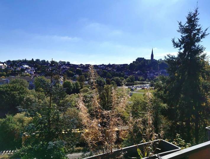 Ferienhaus für 4 Personen, mit Balkon und Whirlpool sowie Terrasse und Garten in Frankenberg (Eder) - 3
