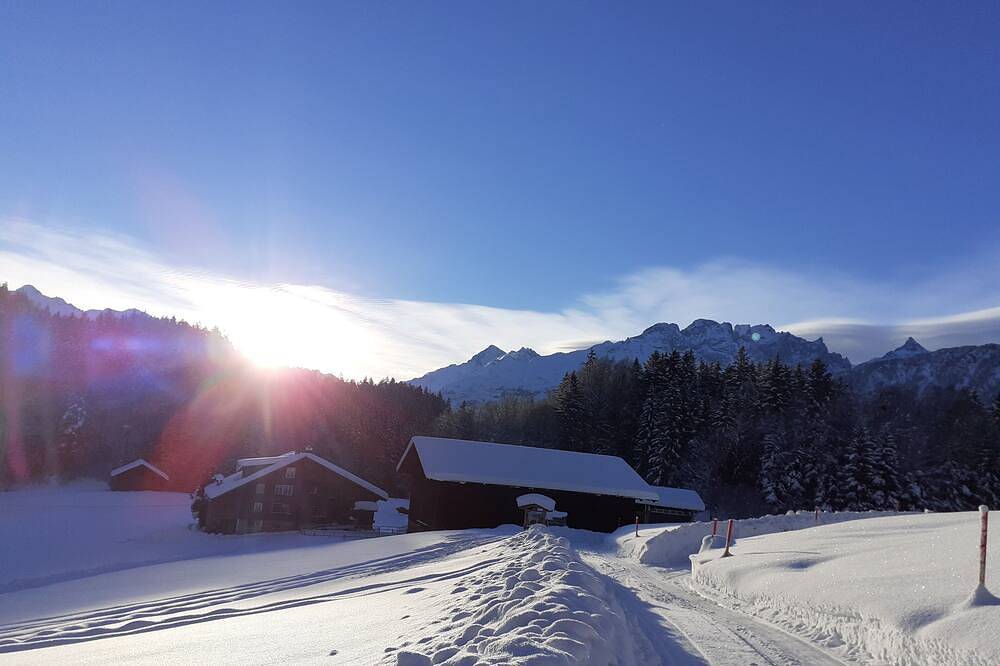 Ganze Wohnung, Gemütliche, rustikale Ferienwohnung an ruhiger Lage in Hasliberg, Berner Oberland