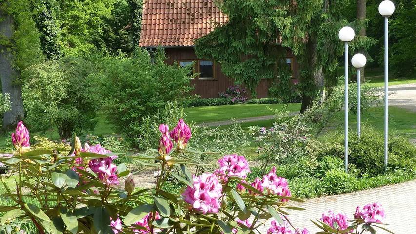 Ferienhaus für 4 Personen, mit Terrasse und Garten, mit Haustier in Soltau - 2