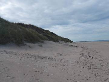 Ferieudlejning til 12 Personer i Rødhus, Vesterhavet, Billede 2