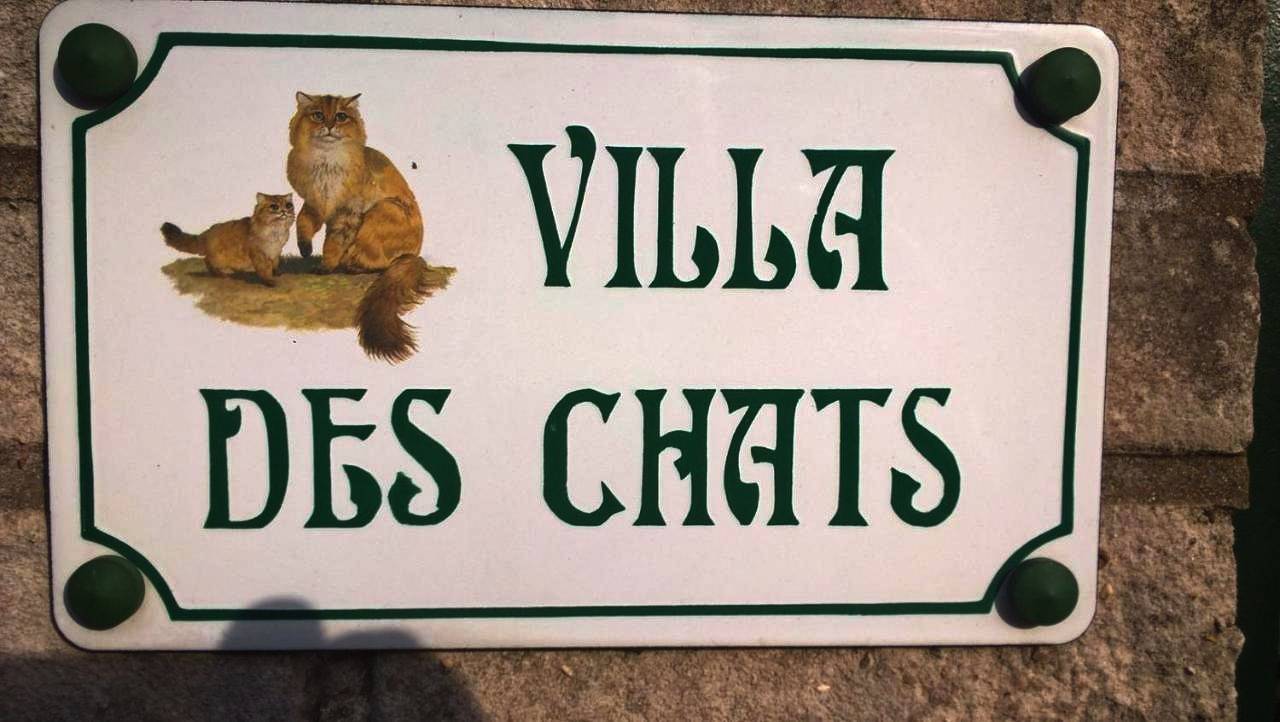 La villa des chats in Andrésy, Yvelines
