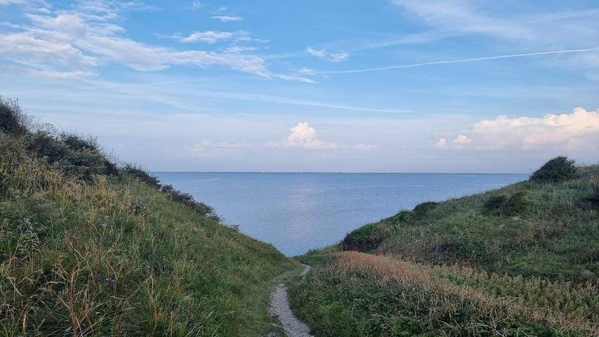 Ferienhaus für 9 Personen, mit Sauna und Whirlpool sowie Terrasse, mit Haustier in Nordjütland - 3