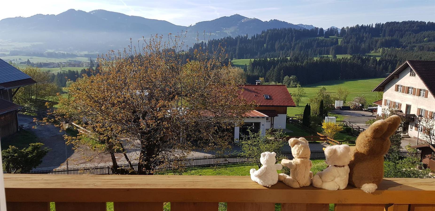 Ganze Ferienwohnung, Doppelzimmer Landhausstil, Dusche, Wc, Balkon in Mittelberg (Allgäu), Oy-Mittelberg
