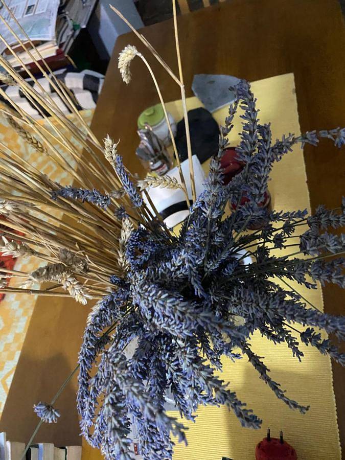 Maison d’hôte pour 2 personnes, avec jardin dans Theth - 4