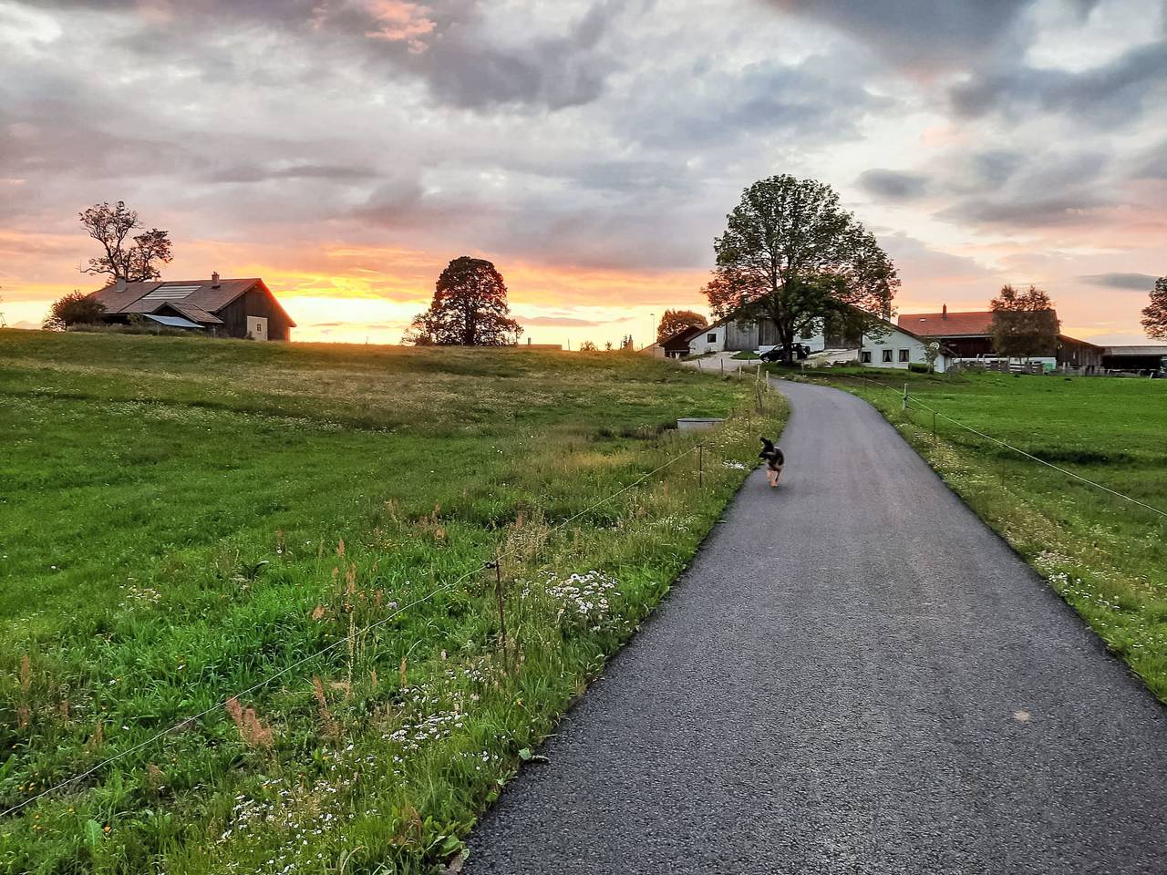 Appartement entier, Les Grangettes in Sainte-Croix, Nord Vaudois