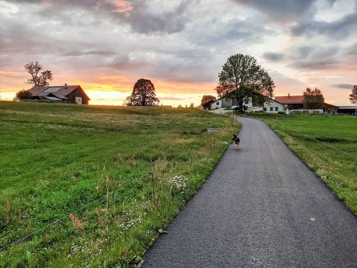 Ferienwohnung für 5 Personen, mit Garten und Ausblick, mit Haustier - 1